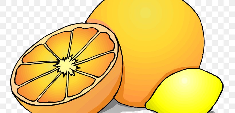 Lemon Commodity Clip Art, PNG, 750x393px, Lemon, Area, Citrus, Commodity, Flowering Plant Download Free