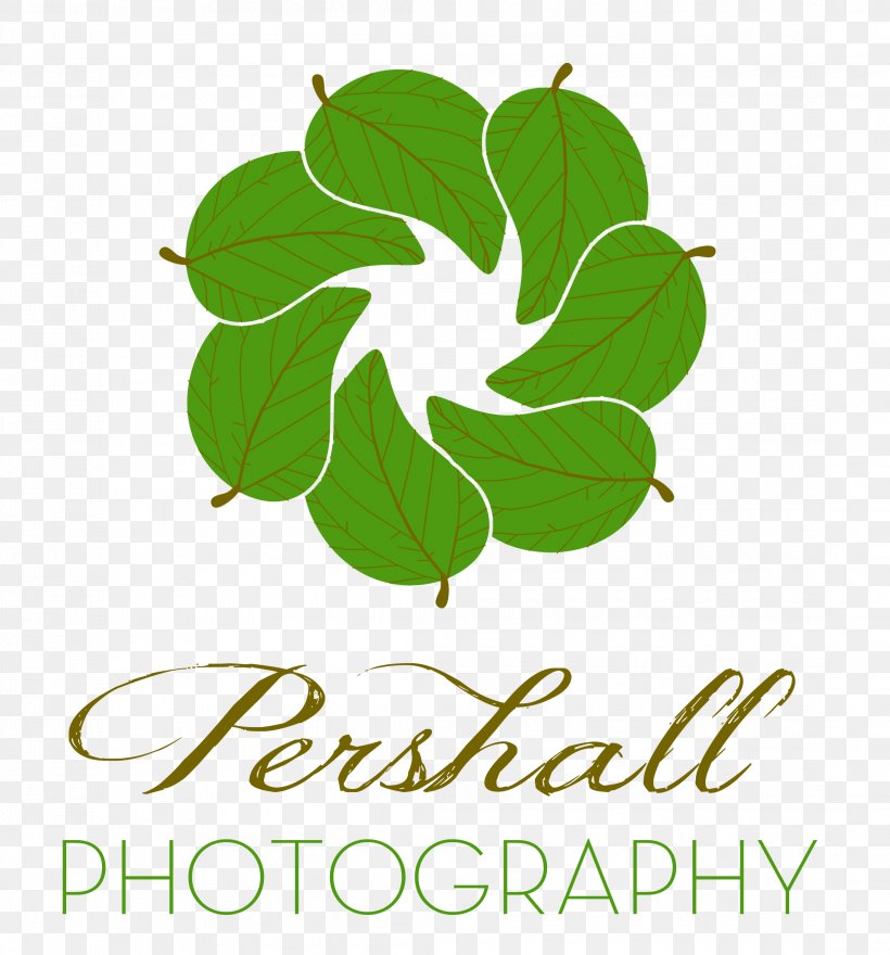 Logo Leaf Brand Plant Stem Font, PNG, 2190x2352px, Logo, Artwork, Brand, Flora, Green Download Free