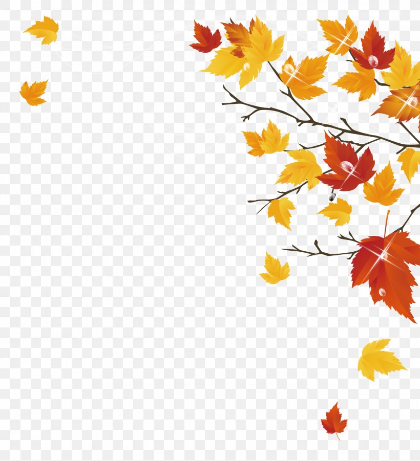 Autumn Maple Leaf, PNG, 1526x1677px, Maple Leaf, Autumn, Branch, Flower, Flowering Plant Download Free