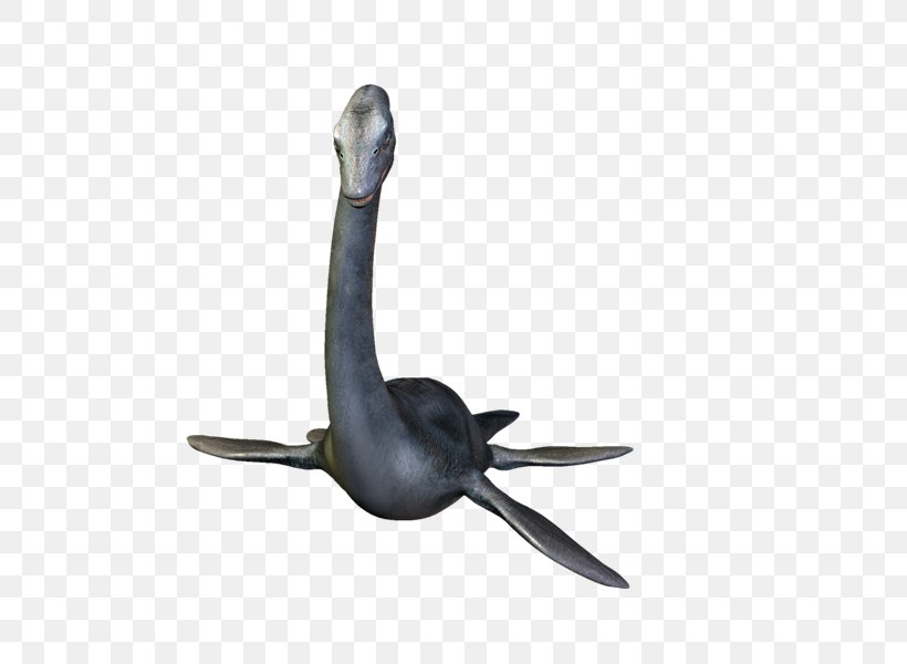 Beak PhotoScape GIMP Bird, PNG, 800x600px, Beak, Animal, Bird, Dinosaur, Fauna Download Free