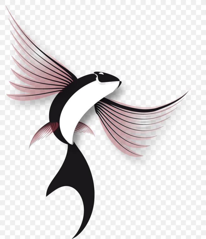 Flying Fish Flight Logo, PNG, 879x1024px, Flying Fish, Eyelash, Fish, Flight, June Download Free