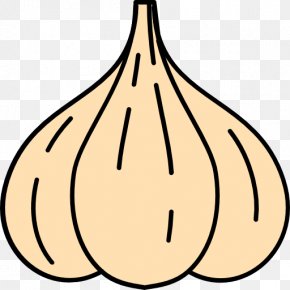 Garlic Vector - Salsa Food Clip Art PNG