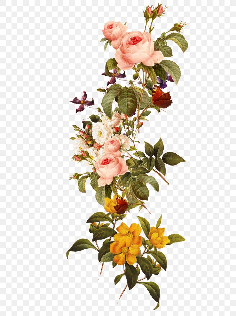 Download Flower, PNG, 571x1096px, Flower, Artificial Flower, Branch, Button, Camellia Download Free