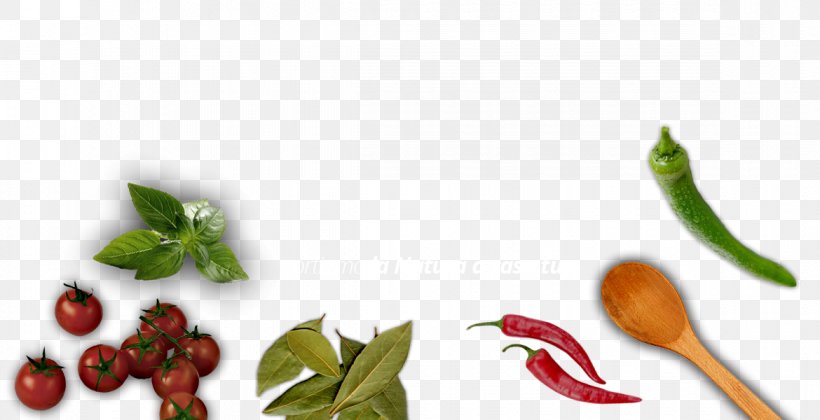 Bird's Eye Chili Cayenne Pepper Tabasco Pepper Food Chili Pepper, PNG, 1170x600px, Birds Eye Chili, Bell Peppers And Chili Peppers, Cayenne Pepper, Chili Pepper, Diet Download Free