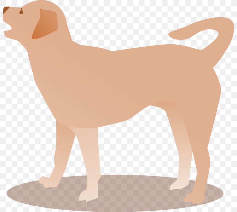 Dog Breed Puppy Sporting Group Companion Dog Retriever, PNG, 800x736px, Dog Breed, Bark, Canidae, Carnivoran, Companion Dog Download Free