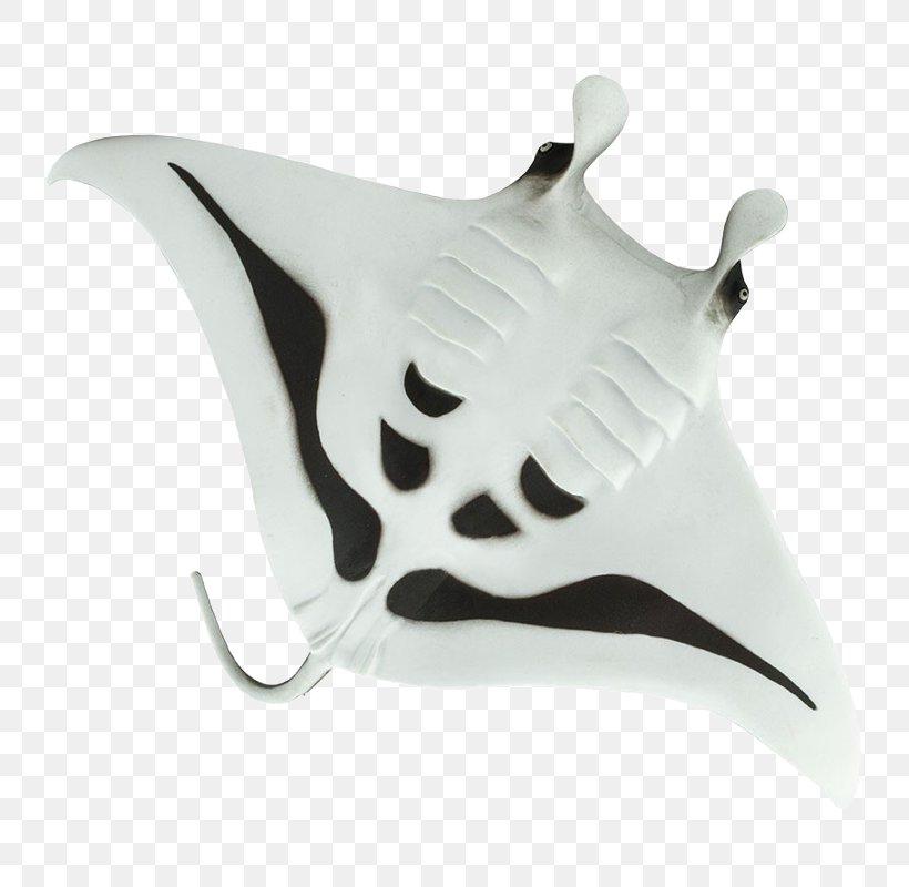 Manta Ray Toy Safari Ltd Devil Rays Batoidea, PNG, 800x800px, Manta Ray, Aquarium, Batoidea, Devil Rays, Imagination Download Free