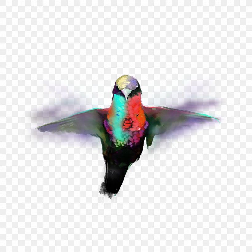 PicsArt Photo Studio Bamhane Bird Parrot Editing, PNG, 1600x1600px, Watercolor, Cartoon, Flower, Frame, Heart Download Free