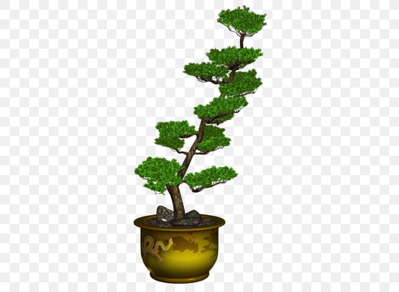 Sageretia Theezans Flowerpot Tree Ornamental Plant, PNG, 309x600px, Sageretia Theezans, Bonsai, Evergreen, Flower, Flowerpot Download Free