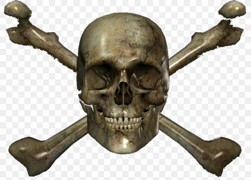Skull Skeleton, PNG, 873x628px, Skull, Bone, Jaw, Skeleton Download Free