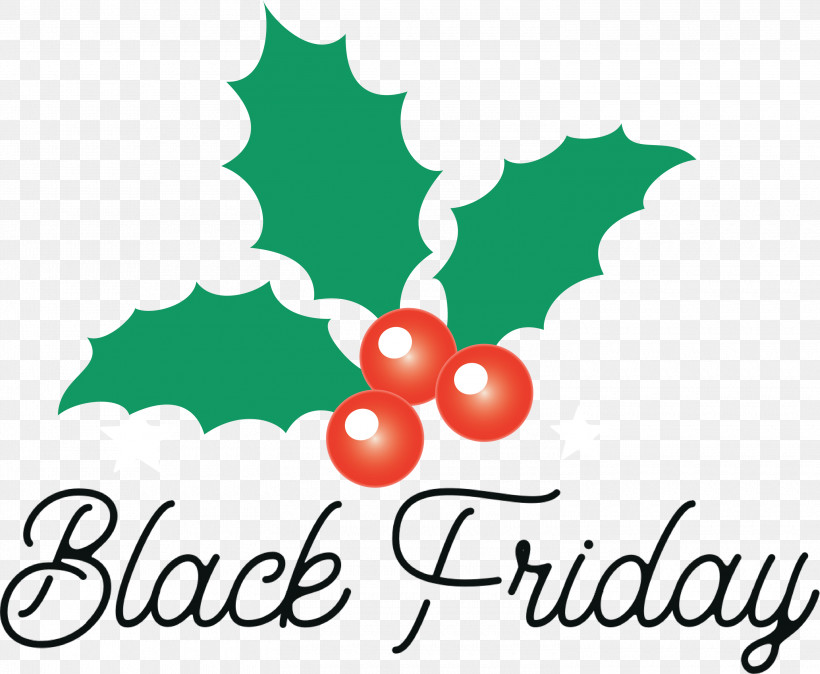 Black Friday Shopping, PNG, 3000x2467px, Black Friday, Aquifoliaceae, Aquifoliales, Christmas Day, Christmas Ornament M Download Free