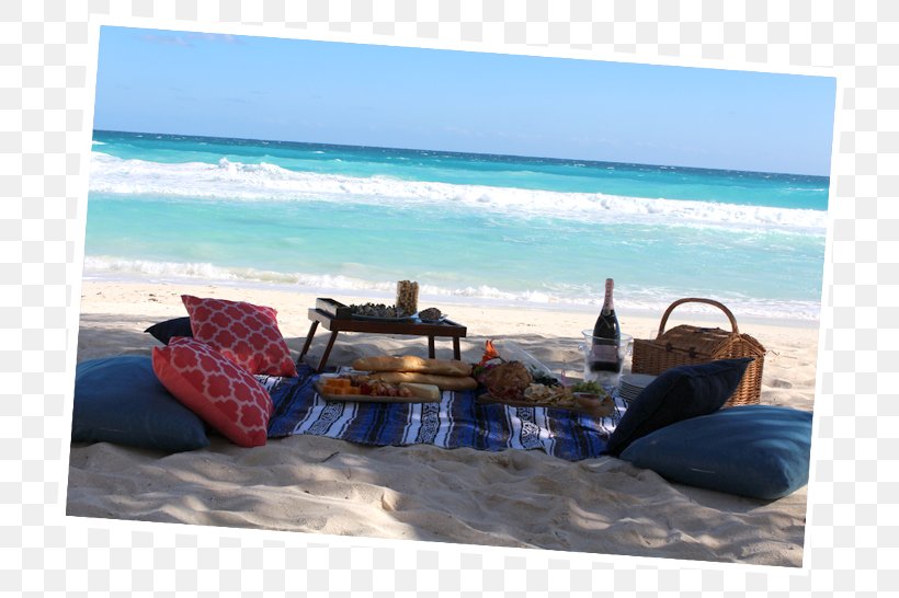 Caribbean Sea Leisure Vacation Beach, PNG, 733x546px, Caribbean, Beach, Coast, Coastal And Oceanic Landforms, Leisure Download Free