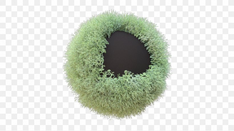 Fur, PNG, 960x540px, Fur, Grass, Green Download Free