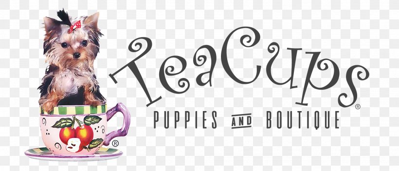 Pomeranian Puppy Dog Breed TeaCups, Puppies & Boutique Canidae, PNG, 1943x833px, Pomeranian, Animal, Boutique, Brand, Breed Download Free