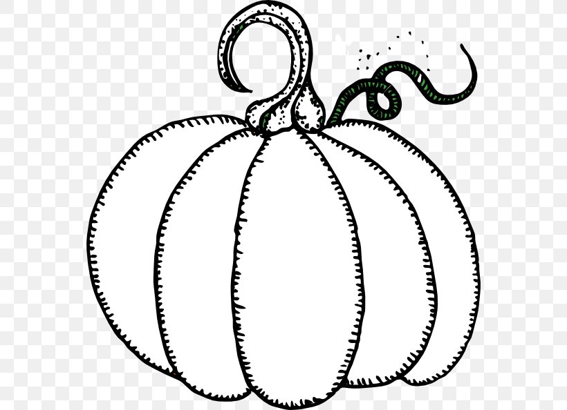 Pumpkin Pie Clip Art Squash Jack-o'-lantern, PNG, 570x594px, Pumpkin Pie, Artwork, Black And White, Body Jewelry, Drawing Download Free