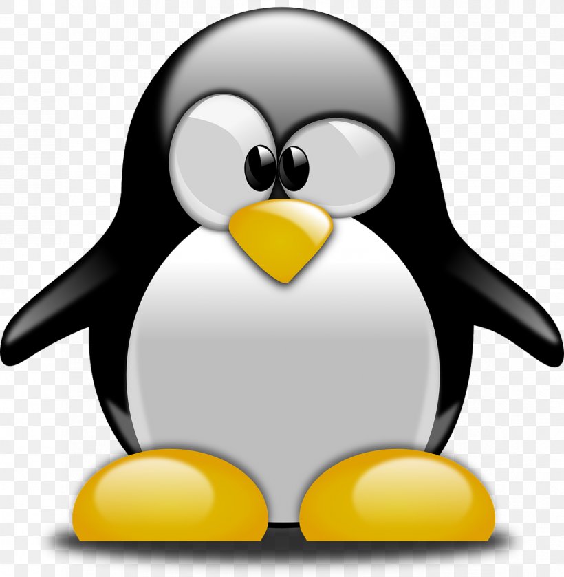 Tux Racer Penguin Linux Clip Art, PNG, 1172x1200px, Tux Racer, Beak, Bird, Flightless Bird, Image File Formats Download Free