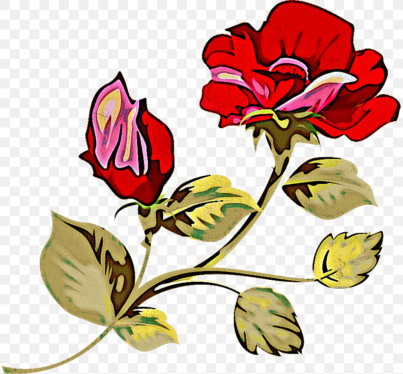 Two Flowers Two Roses Valentines Day, PNG, 811x762px, Two Flowers, Bud, Common Peony, Cut Flowers, Flower Download Free