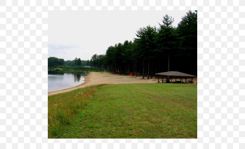 Water Resources Lawn Pond Property Land Lot, PNG, 500x500px, Water Resources, Bayou, Estate, Golf Club, Grass Download Free