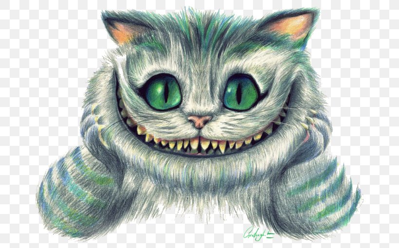 Cheshire Cat Alice Mad Hatter White Rabbit, PNG, 700x510px, Cheshire Cat, Alice, Alice In Wonderland, Artwork, Carnivoran Download Free