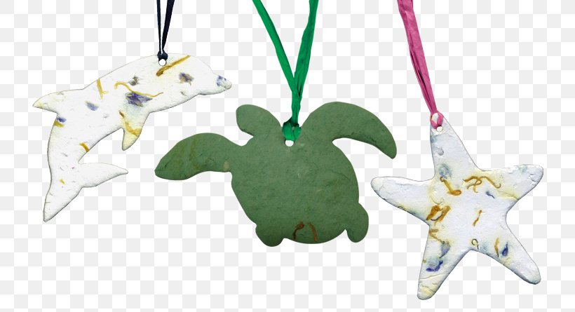 Christmas Ornament Sea Turtle Natural Burial Passages International, Inc., PNG, 800x445px, Christmas Ornament, Animal, Animal Figure, Baby Toys, Burial Download Free