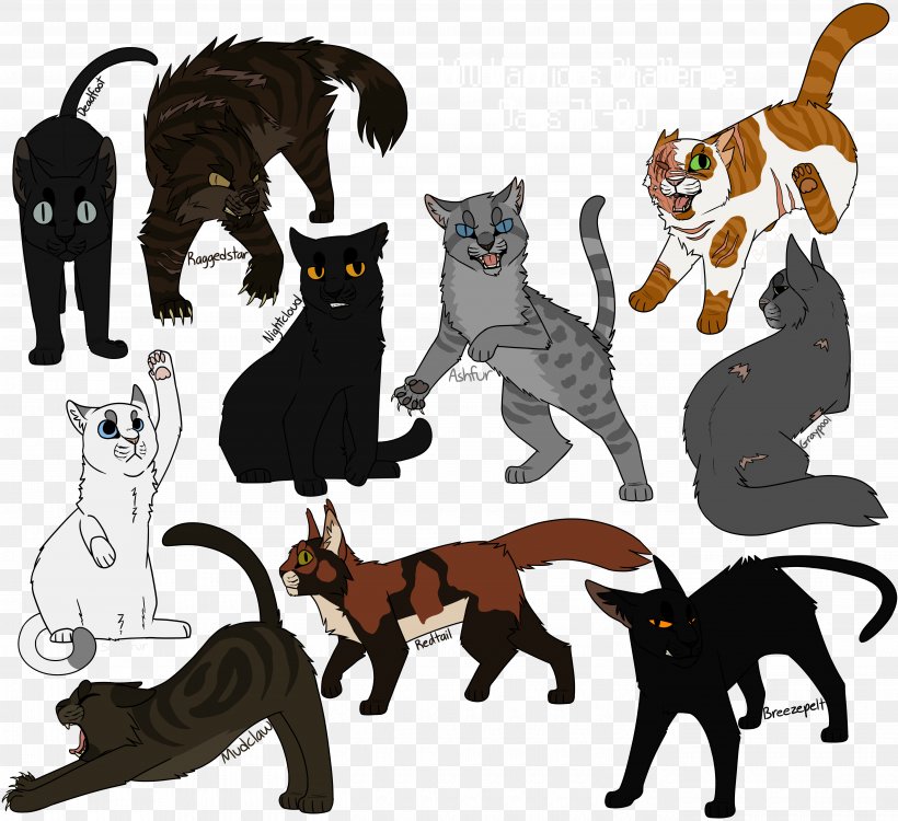 Kitten Cat Golden State Warriors Mudclaw, PNG, 5400x4942px, Kitten, Art, Big Cat, Big Cats, Breezepelt Download Free