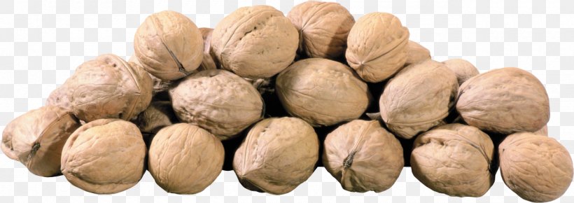 Nuts Walnut Hazelnut, PNG, 1280x454px, Nuts, Acorn, Almond, Cashew, Chestnut Download Free
