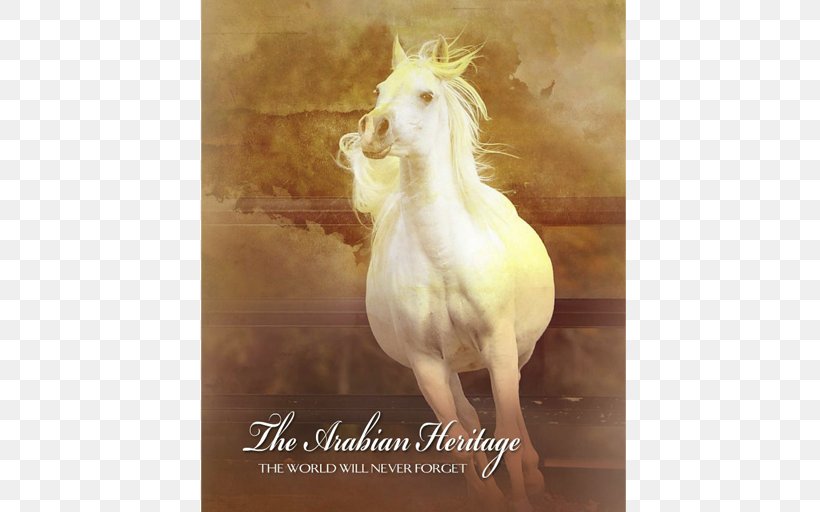 Arabian Horse Stallion Mustang Mare Unicorn, PNG, 640x512px, Arabian Horse, Arabian Peninsula, Fauna, Horse, Horse Like Mammal Download Free