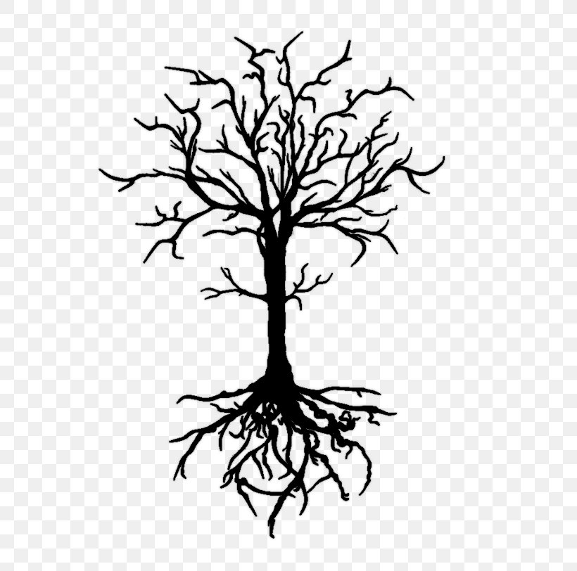 Drawing Tree Sketch, PNG, 600x812px, Drawing, Art, Artwork, Black And White, Branch Download Free