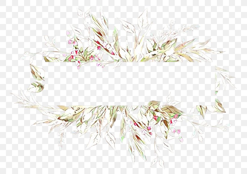 Feather, PNG, 800x580px, Cartoon, Feather, Flower, Grass, Plant Download Free