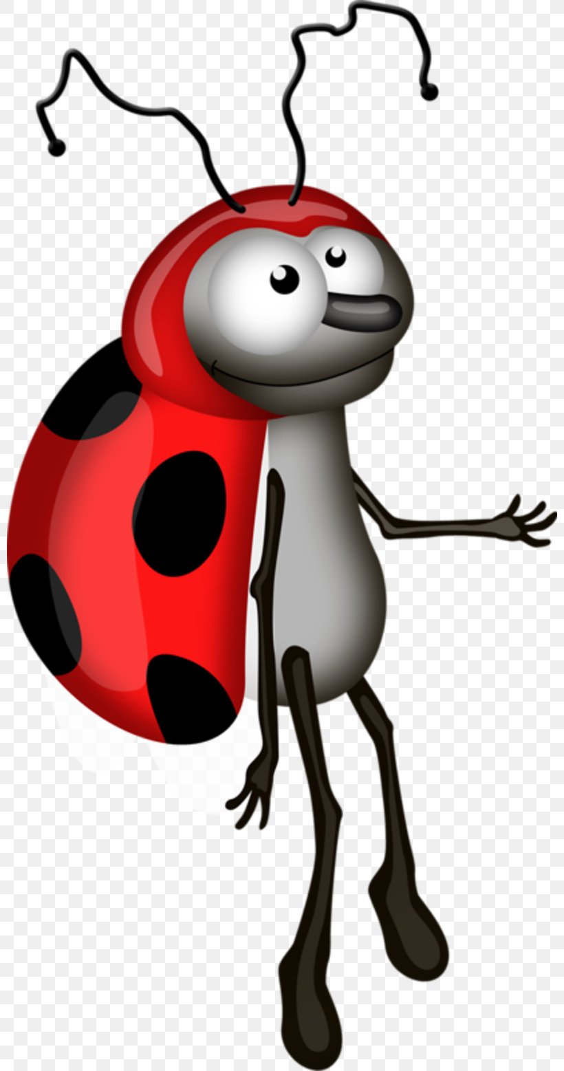 Ladybird Beetle Clip Art, PNG, 800x1557px, Ladybird Beetle, Art, Artwork, Beetle, Cartoon Download Free