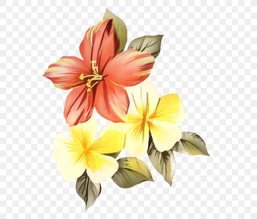 Clip Art Vector Graphics Flower Image, PNG, 620x699px, Flower, Alstroemeriaceae, Amaryllis Belladonna, Botany, Cut Flowers Download Free