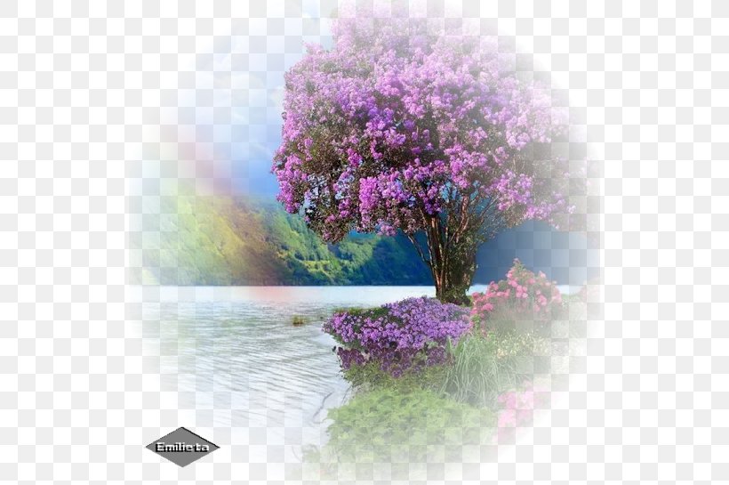 Purple Color Desktop Wallpaper, PNG, 530x545px, Purple, Art, Blossom, Cityscape, Color Download Free