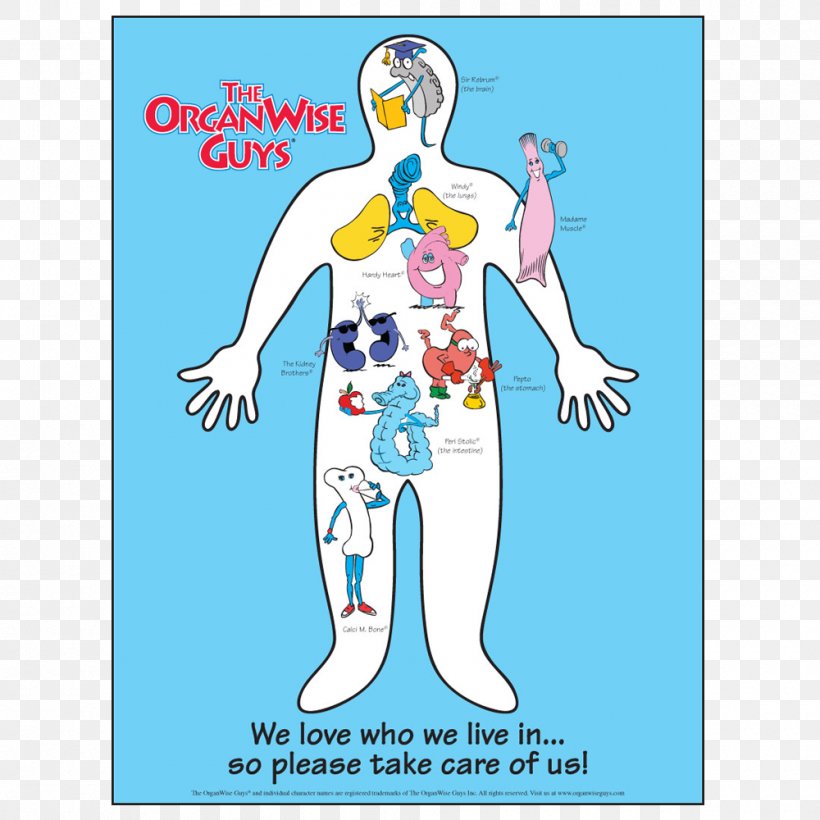 The OrganWise Guys Human Body Poster, PNG, 1000x1000px, Watercolor, Cartoon, Flower, Frame, Heart Download Free