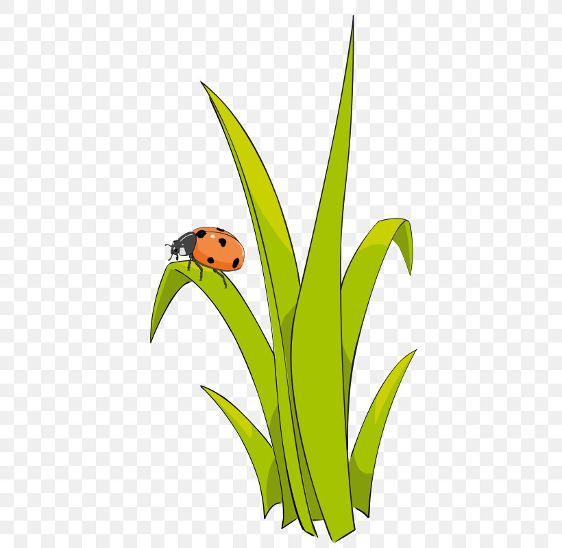 Free Content Clip Art, PNG, 448x800px, Free Content, Animation, Computer, Fictional Character, Flora Download Free