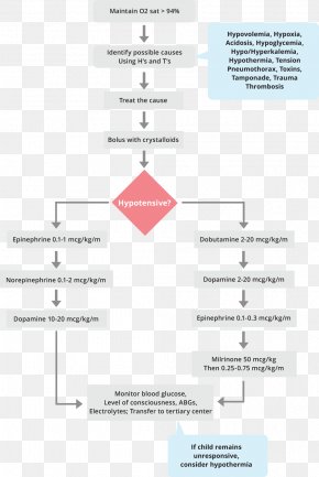 Discount Volume - Hypovolemia Advanced Cardiac Life Support Septic Shock Pediatric Advanced Life Support PNG