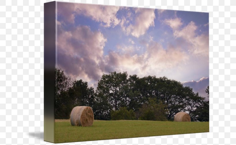 Painting Picture Frames Farm Energy Sky Plc, PNG, 650x504px, Painting, Cloud, Energy, Farm, Field Download Free