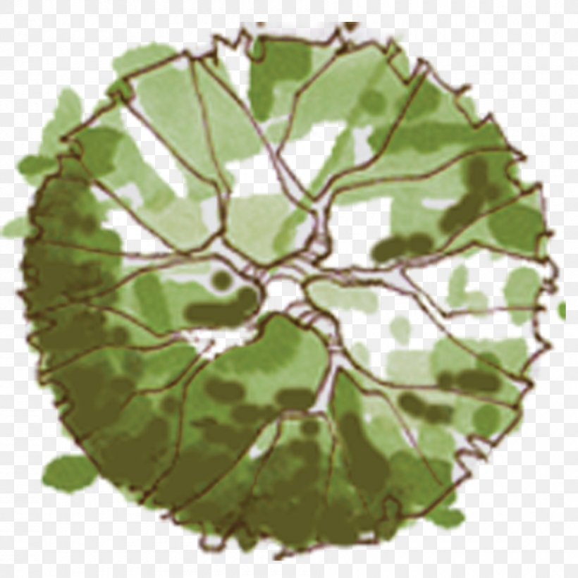 Tree Site Plan Landscape Architecture, PNG, 900x900px, Tree, Architectural Plan, Architecture, Drawing, Idea Download Free