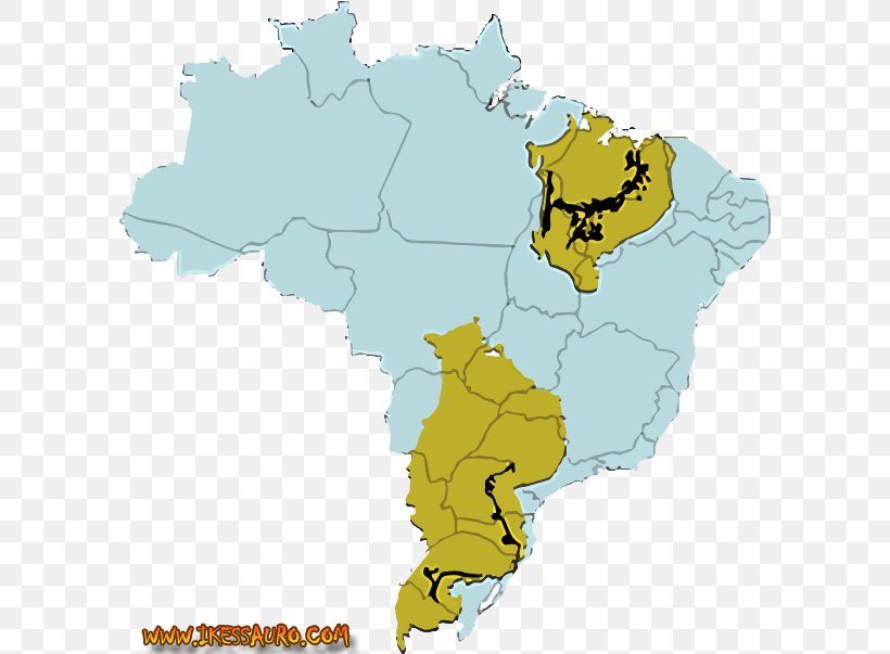 World Map Ecoregion Bacia Do Rio Parnaíba Tuberculosis, PNG, 601x603px, World, Area, Ecoregion, Map, Tuberculosis Download Free