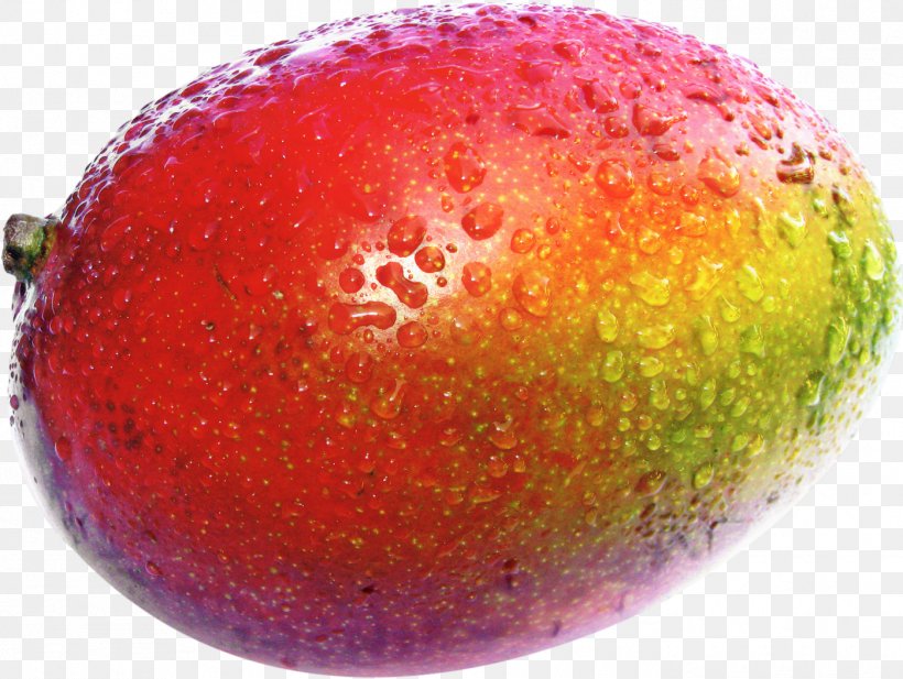 Mango Cartoon, PNG, 1397x1052px, Food, Accessory Fruit, Apple, Colorfulness, European Plum Download Free