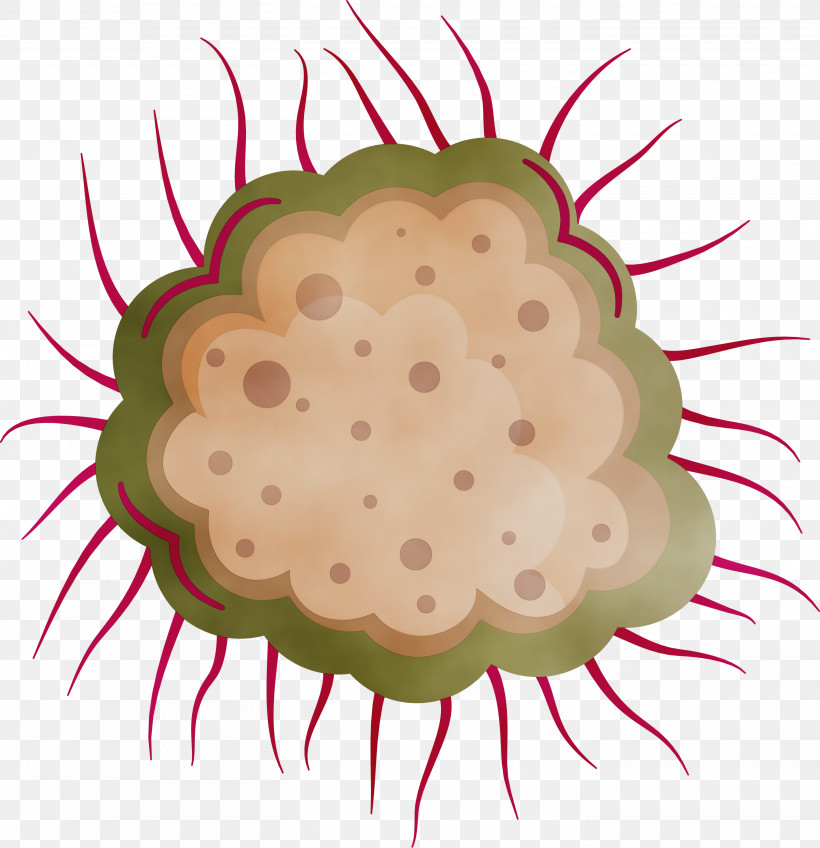 Pollen Plant Fruit Baking Cup, PNG, 2900x3000px, Coronavirus, Baking Cup, Corona, Covid, Fruit Download Free