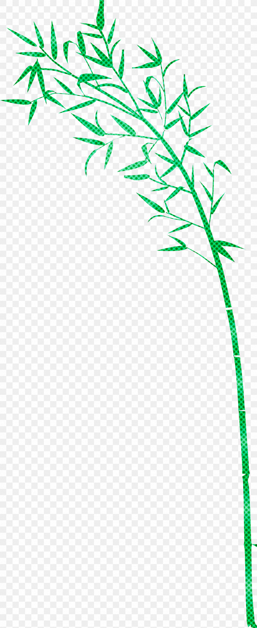 Bamboo Leaf, PNG, 1227x3000px, Bamboo, Flower, Grass, Grass Family, Green Download Free