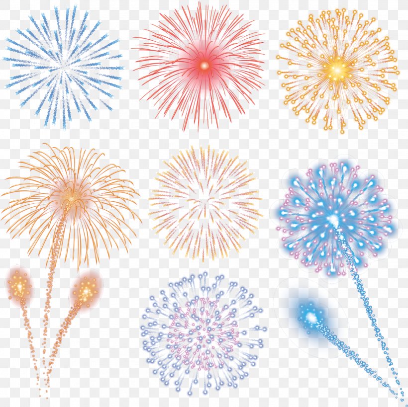 Fireworks, PNG, 2316x2314px, Fireworks, Flower, Flowering Plant, Petal, Plot Download Free