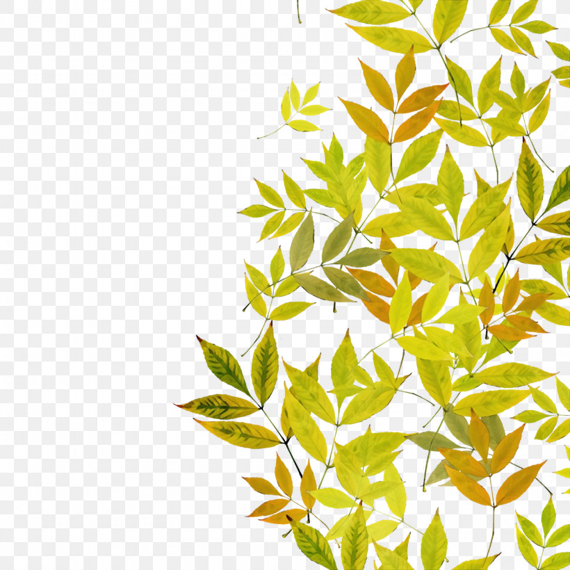 Leaf Plant Stem Twig Tree Line, PNG, 1280x1280px, Watercolor, Biology, Geometry, Leaf, Line Download Free