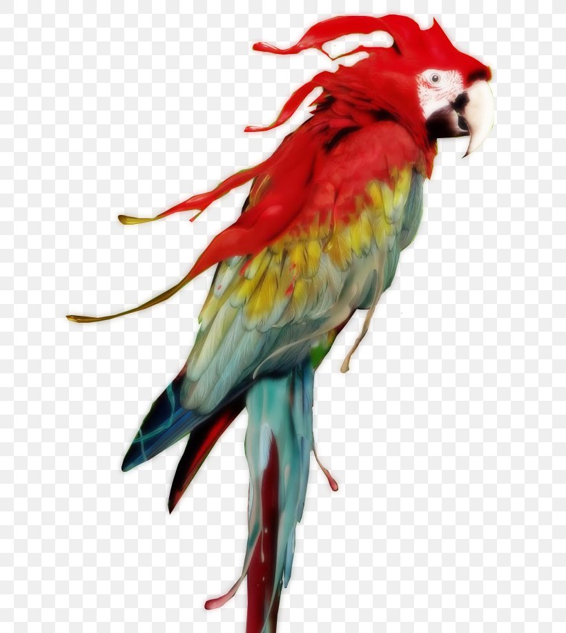 Red-and-green Macaw Parrot Scarlet Macaw Great Green Macaw, PNG, 662x916px, Macaw, Animal, Beak, Bird, Common Pet Parakeet Download Free