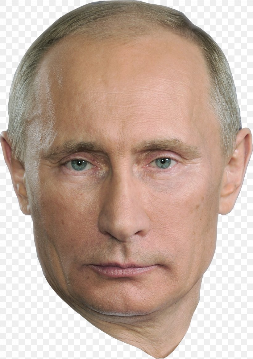Vladimir Putin Russia Mask Costume Party, PNG, 1645x2339px, Vladimir Putin, Barack Obama, Celebrity, Cheek, Chin Download Free