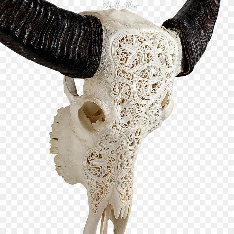 Animal Skulls Horn Carving All Laced Up, PNG, 1000x1000px, Skull, American Bison, Animal, Animal Skulls, Antique Download Free