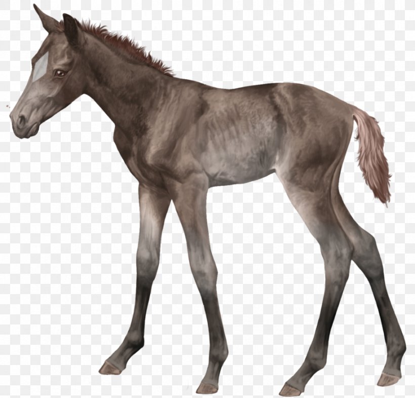 Foal Stallion Thoroughbred Colt Versailles, PNG, 914x875px, Foal, American Pharoah, Calumet Farm, Colt, Horse Download Free