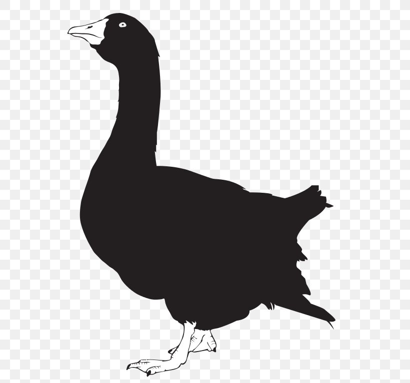 Goose Silhouette Clip Art Image, PNG, 603x767px, Goose, American Black Duck, Beak, Bird, Drawing Download Free