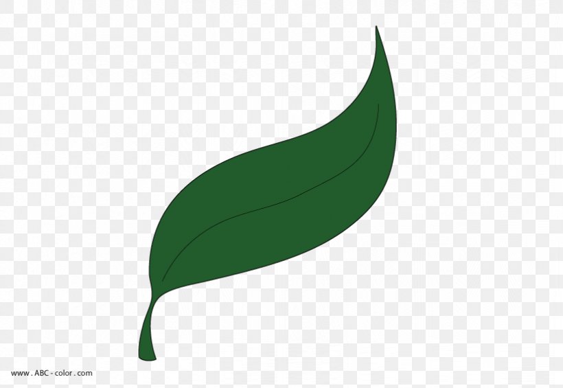 Leaf Plant Stem Font, PNG, 822x567px, Leaf, Grass, Green, Plant, Plant Stem Download Free