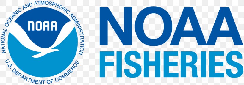 National Marine Fisheries Service United States National Oceanic And Atmospheric Administration Fishery Fishing, PNG, 1000x349px, National Marine Fisheries Service, Area, Blue, Brand, Conservation Download Free