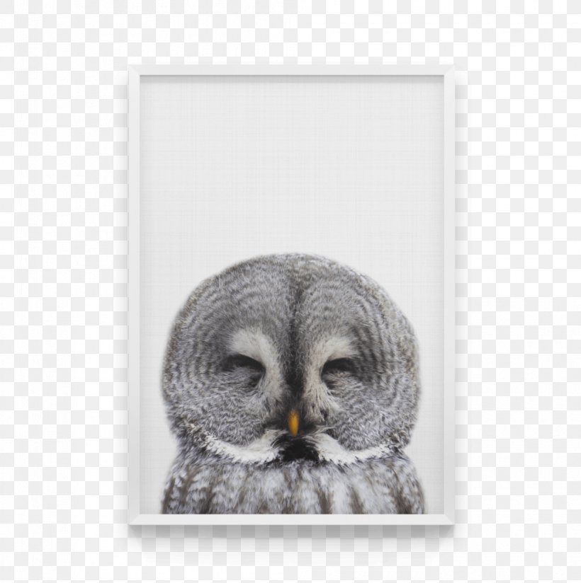 Owl Canvas Print Bird Art, PNG, 995x1000px, Owl, Art, Art Deco, Beak, Bird Download Free